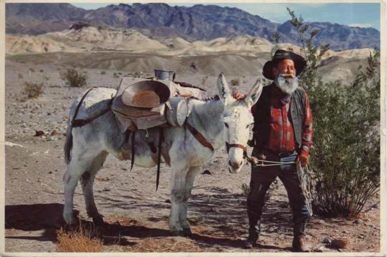 Cowboy Karma by Gary Ives
