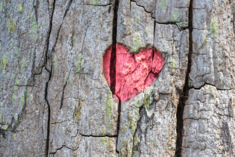 The Heart Response by Nathan Batchelor